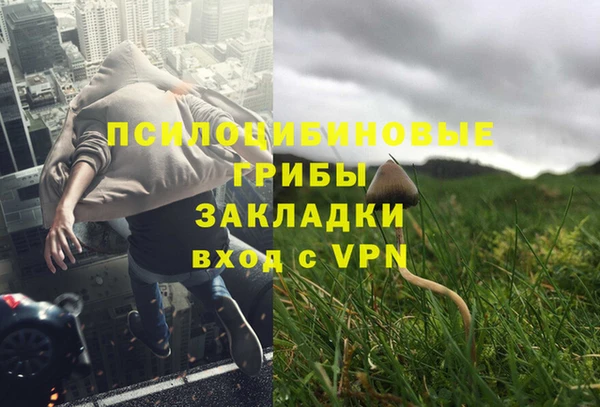 хмурый Белоозёрский