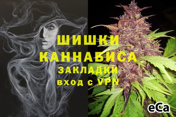 spice Беломорск