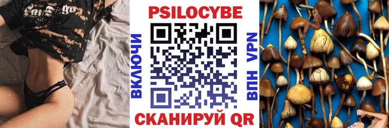 Галлюциногенные грибы мицелий  наркота  Катав-Ивановск 